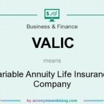 What Is Variable Annuity Life Insurance